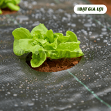  Bạt Phủ Gốc Cây Đục Lỗ 120gr/m2 Đen - 0.5mx0.5m 