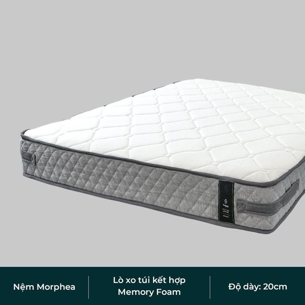  Nệm Lò Xo Túi Morphea - 모르피아 포켓 스프링 매트리스 