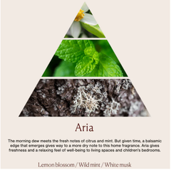 Tinh dầu tán hương Dr.Vranjes Aria Fragranza Sticks