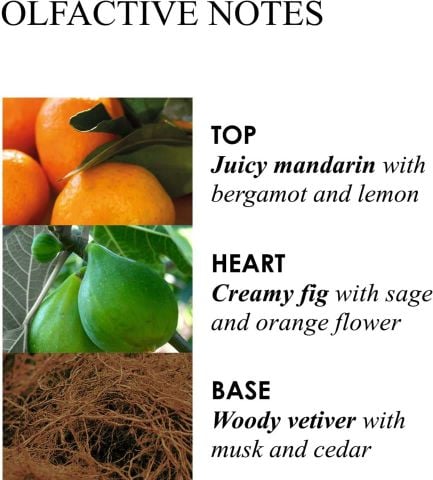 Molton Brown Lemon & Mandarin diffuser stick -Tinh dầu tán hương thơm phòng 150ml