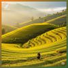 Tú Lệ (2N2Đ)