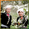 Tour Hoa Lê: Hà Nội - Bản Khâu Tràng - Núi Mù Là