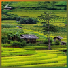 Tú Lệ (2N2Đ)