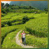 Tú Lệ (2N2Đ)