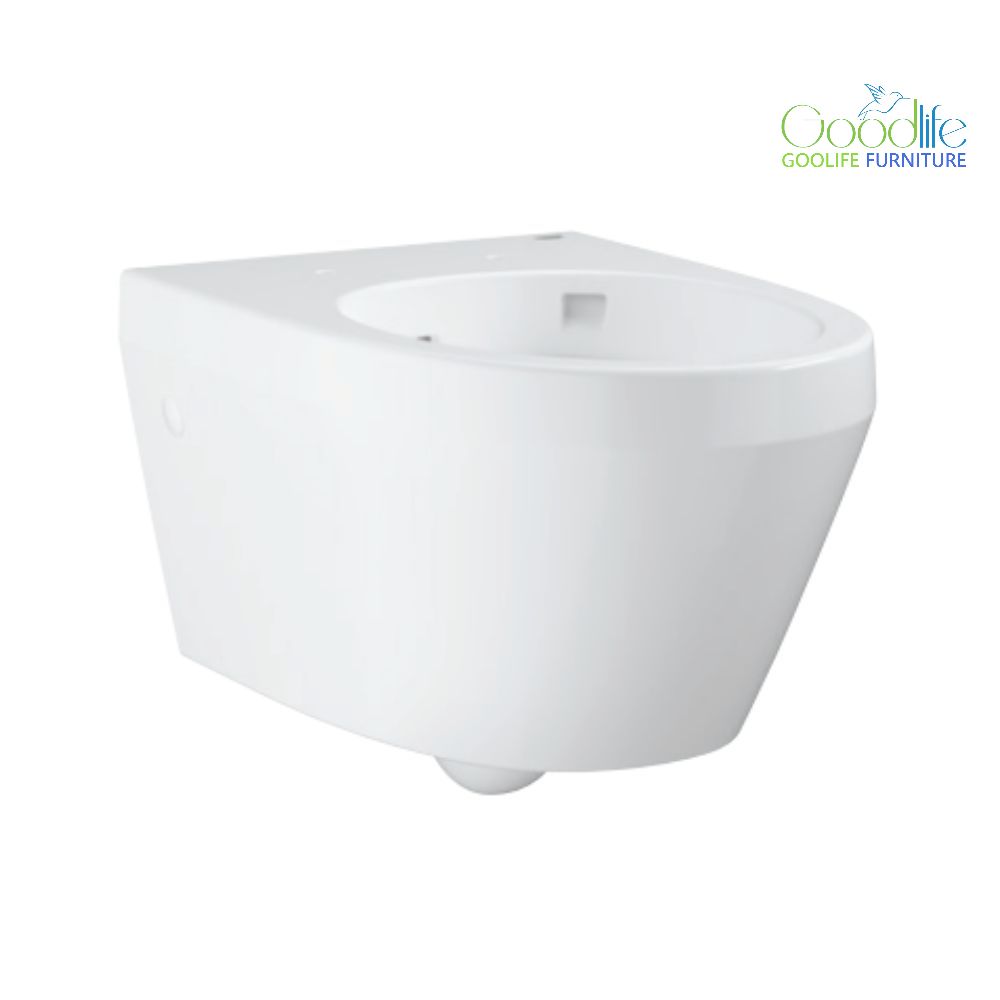Thân bồn cầu treo tường Euro Ceramic GROHE 100999SH00