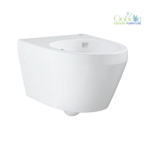  Thân bồn cầu treo tường Euro Ceramic GROHE 100999SH00 