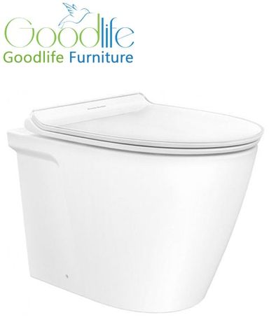  Bồn Cầu American Standard 3229E-WT Đặt Sàn Nắp WP-C119 