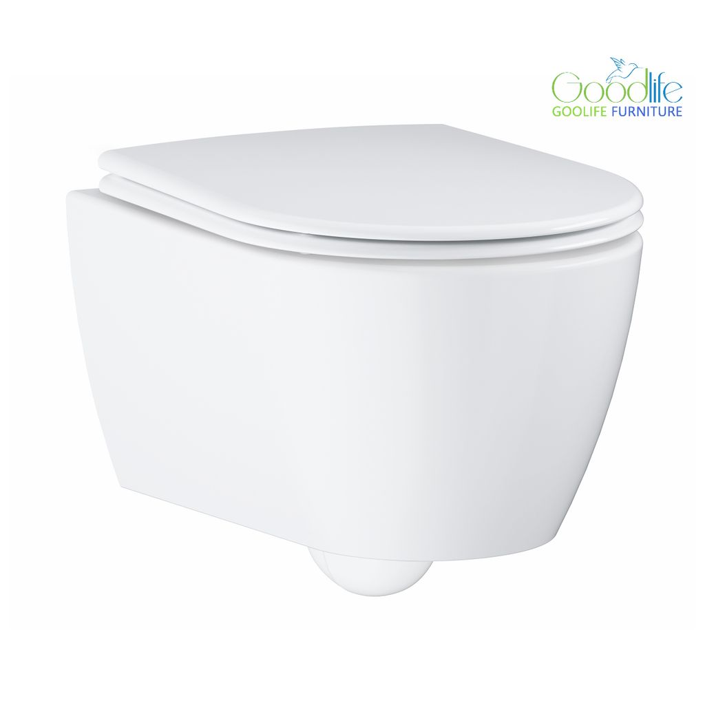 Bồn cầu treo tường Essence GROHE 3957100H