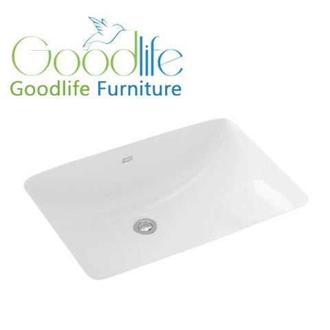  Chậu lavabo âm bàn Activa American Standard TI-0459-WT (TI0459WT) 
