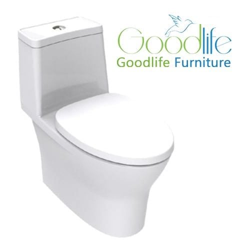  Bồn cầu 1 khối thoát ngang American Standard VF-2530P (VF2530P) 