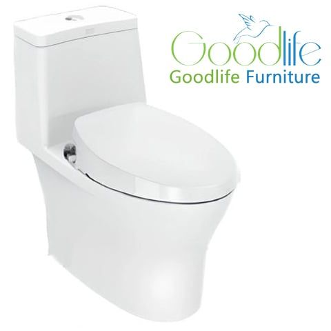 Bồn cầu 1 khối American Standard VF-2530S (VF2530S) nắp rửa cơ dòng Slim