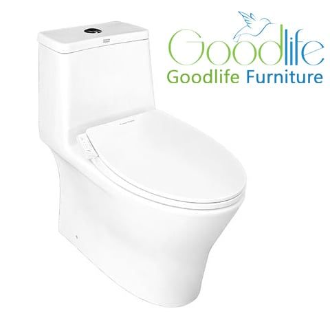 Bồn cầu 1 khối American Standard VF-2530SW (VF2530SW) nắp rửa cơ M4A839