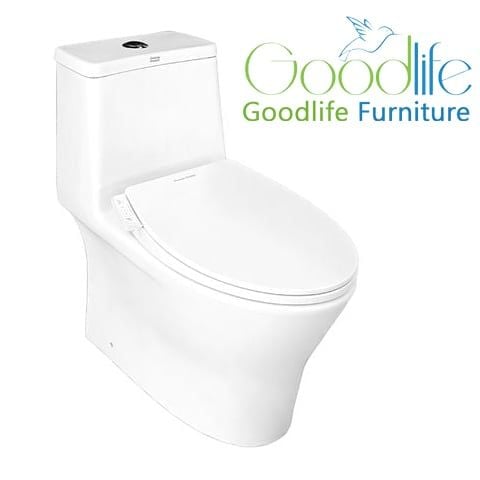  Bồn cầu 1 khối American Standard VF-2530SW (VF2530SW) nắp rửa cơ M4A839 