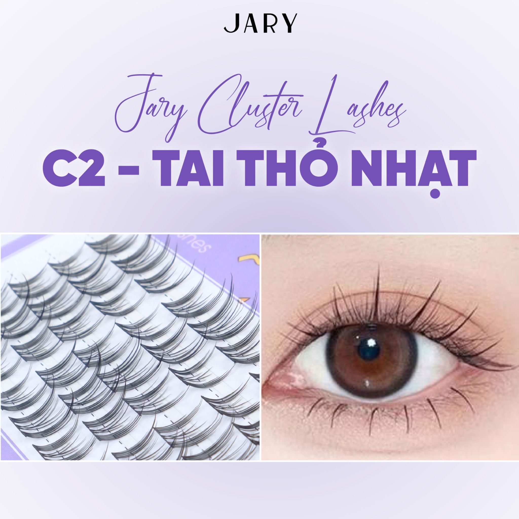 LÔNG MI CỤM TỰ NHIÊN JARY CLUSTER LASHES HỘP NHỰA 5 HÀNG - C2 TAI THỎ NHẠT