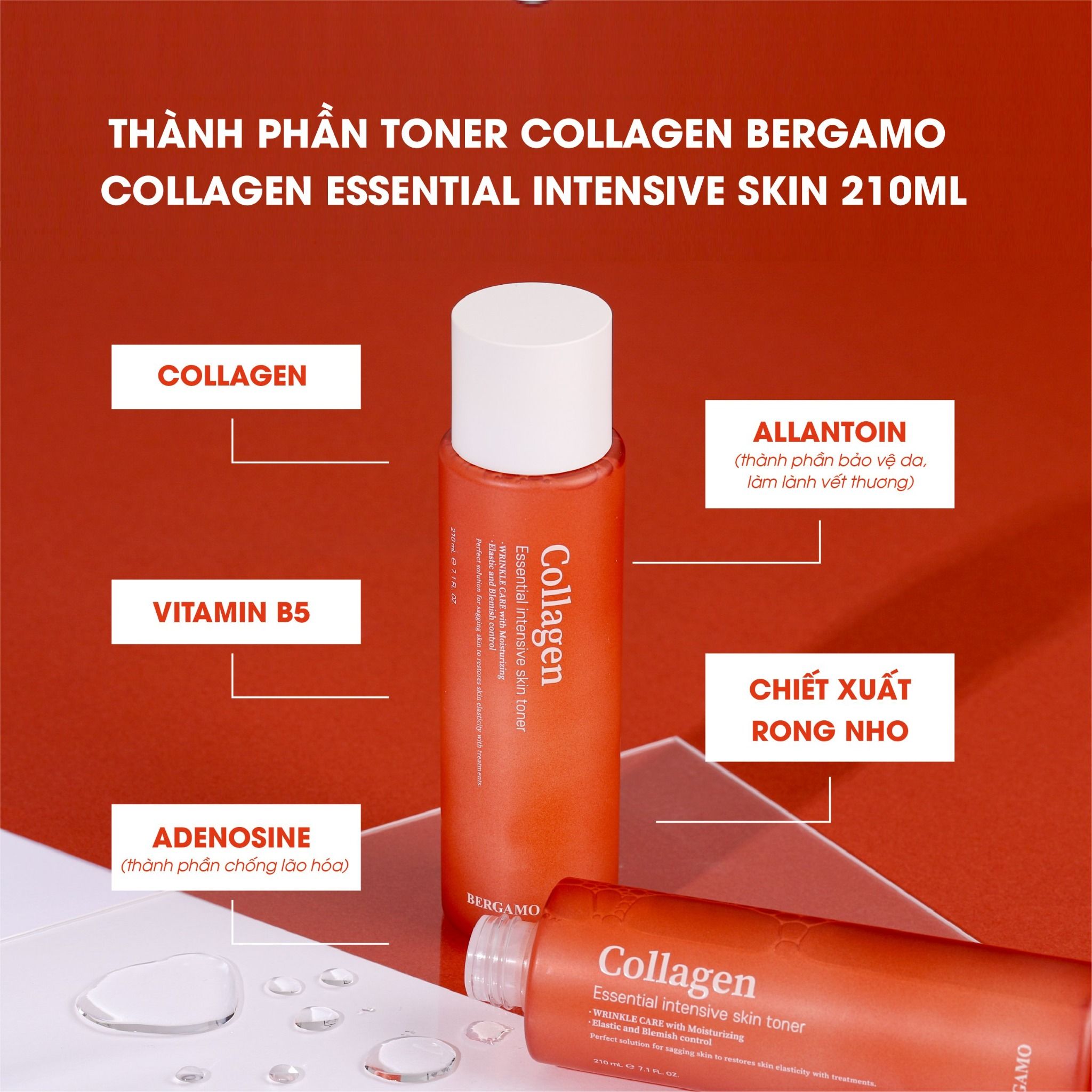 TONER COLLAGEN BERGAMO COLLAGEN ESSENTIAL INTENSIVE SKIN TONER 210ML