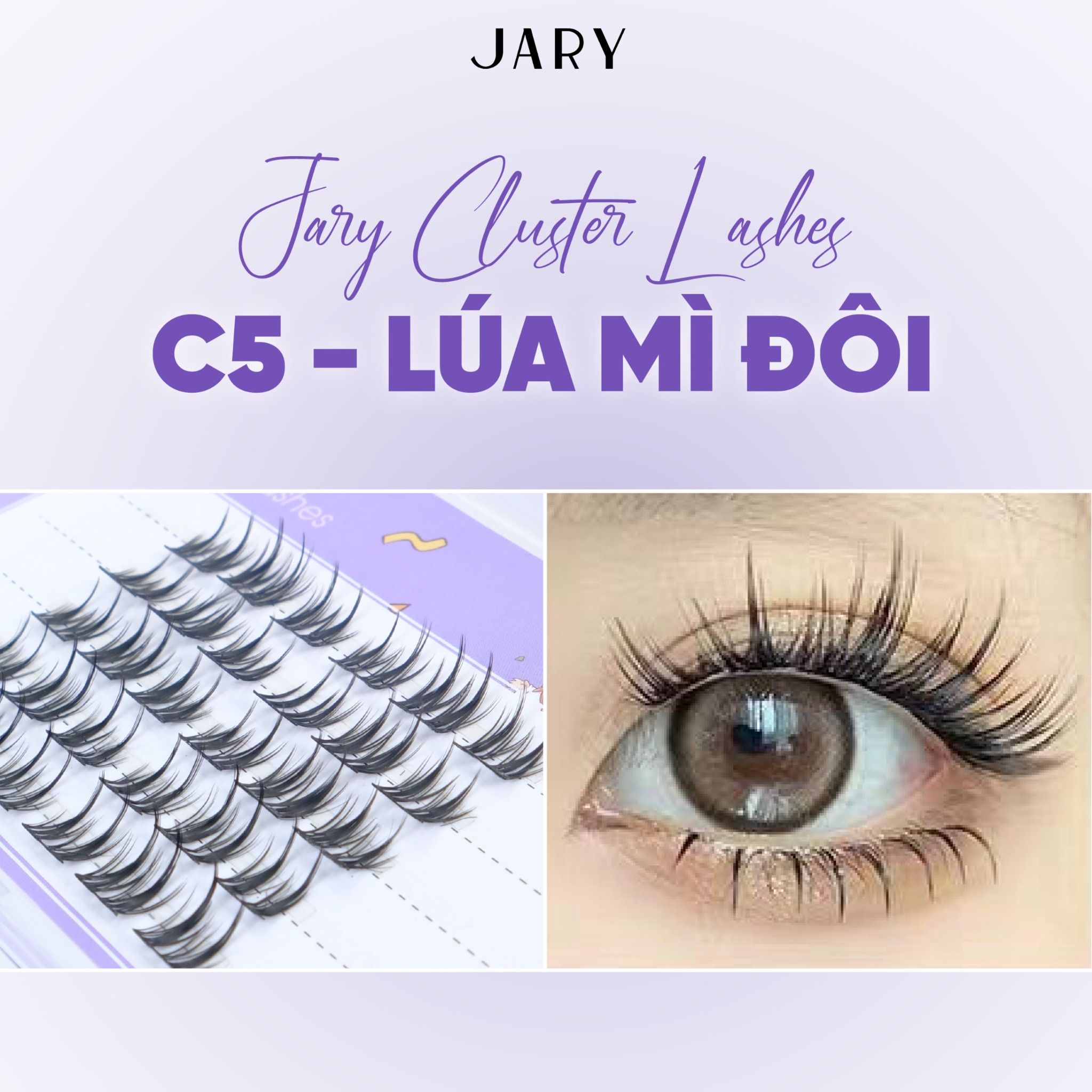 LÔNG MI CỤM TỰ NHIÊN JARY CLUSTER LASHES HỘP NHỰA 5 HÀNG - C5 LÚA MÌ ĐÔI