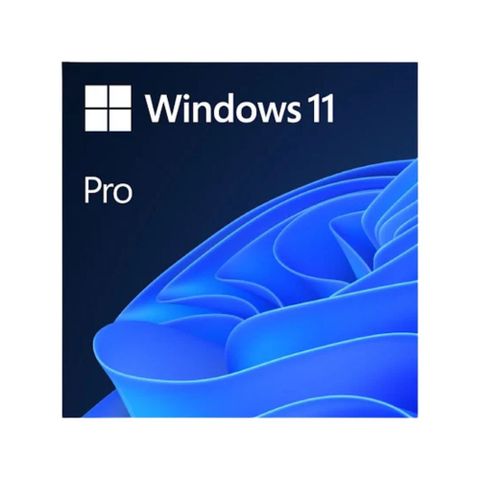  Phần mềm Windows 11 Pro 64-bit All Lng PK Lic Online DwnLd NR FQC-10572 - Hàng chính hãng 