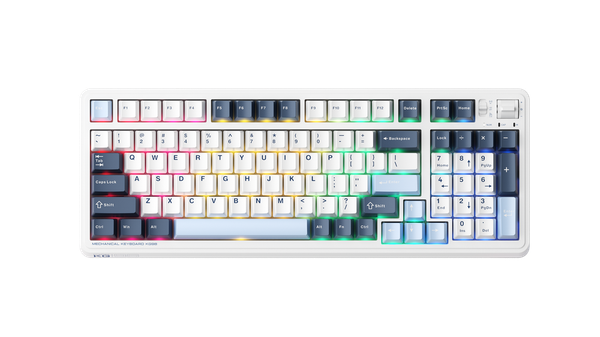  Bàn phím cơ Machenike KG98 Purple Gold switch | Black Green - White Blue 