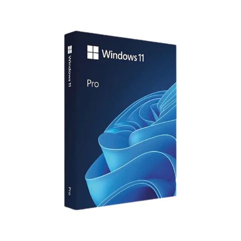  Phần mềm Windows Pro FPP 11 64-bit Eng Intl USB HAV-00163 - Hàng chính hãng 