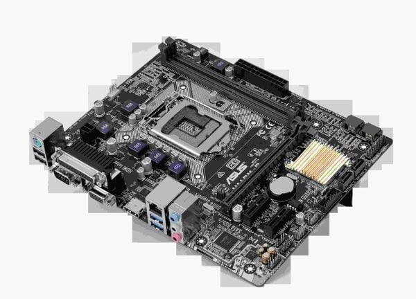 Mainboard Asus H110M-D