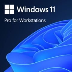 Phần mềm Microsoft Windows 11 Pro for Workstation 64Bit | 1 thiết bị | Vĩnh viễn
