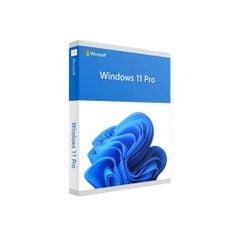 Phần mềm Windows 11 Pro 64-bit All Lng PK Lic Online DwnLd NR FQC-10572 Retail Online ESD | chuyển máy được | Vĩnh Viễn