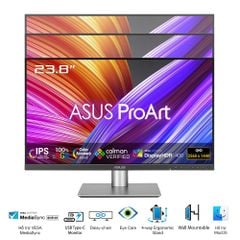 Màn hình đồ họa ASUS ProArt PA24ACRV | 24 inch | IPS 2K | 75Hz | USBC