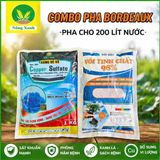  combo bocdo (1 kg đồng sunphat+ 1 kg vôi) quản lí nấm,thán thử,rỉ sắt rửa vườn sau khi thu hoạch 
