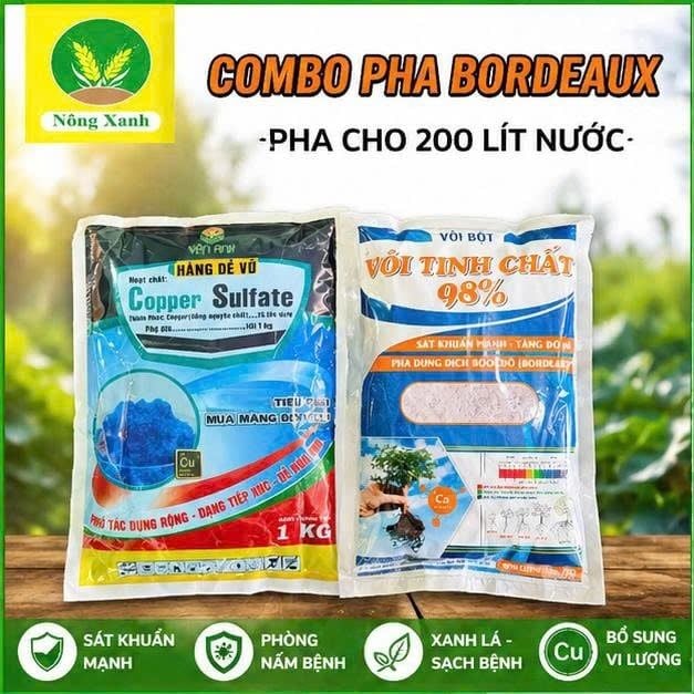  combo bocdo (1 kg đồng sunphat+ 1 kg vôi) quản lí nấm,thán thử,rỉ sắt rửa vườn sau khi thu hoạch 