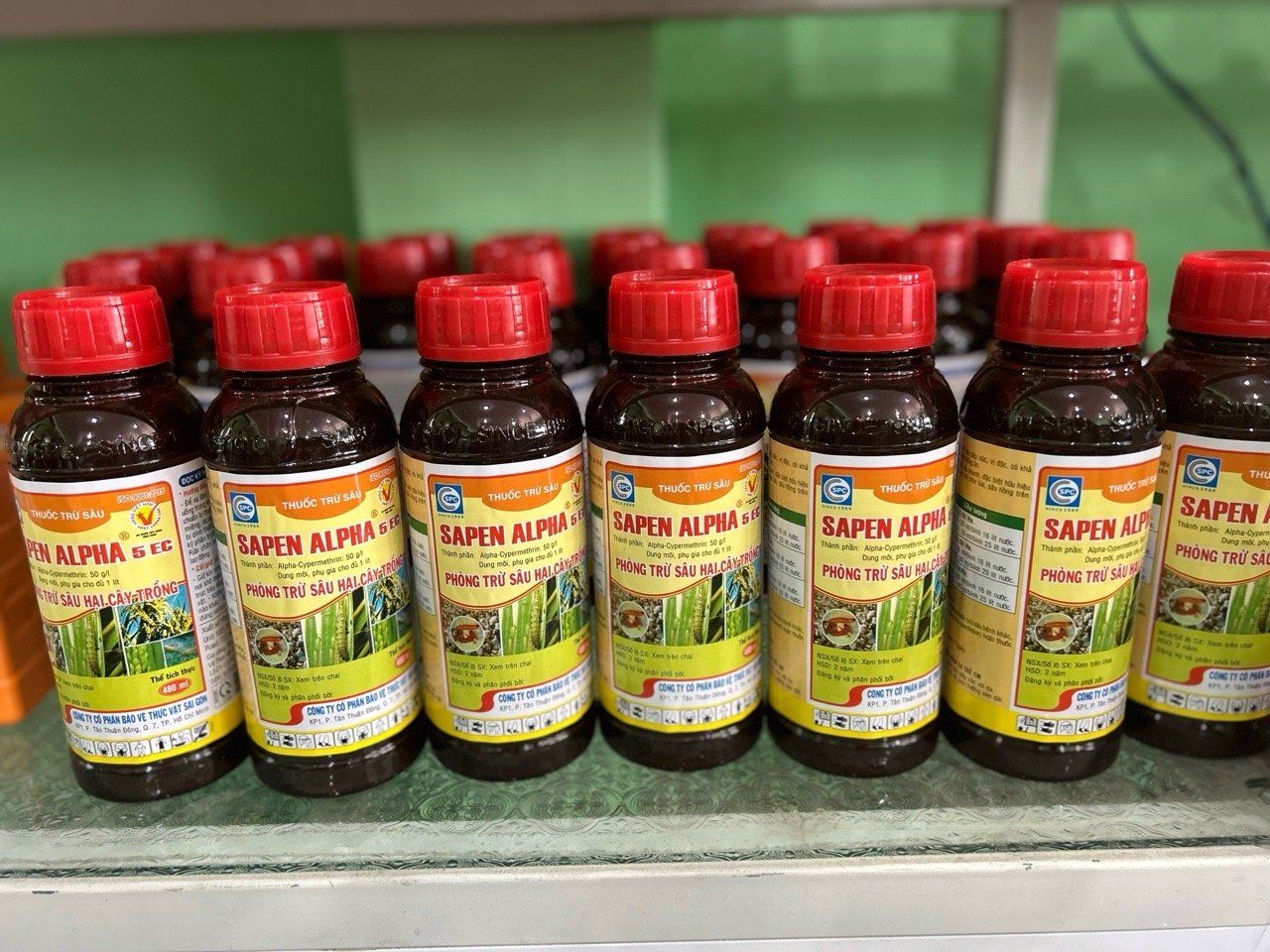  Thuốc SAPEN ALPHA 5EC Đặc Trị Sâu Cuốn Lá, Bọ Trĩ, Sâu Hồng 