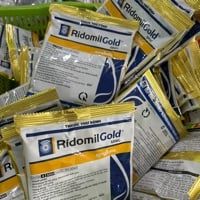  Thuốc trị nấm bệnh cây Ridomil Gold 68WP 