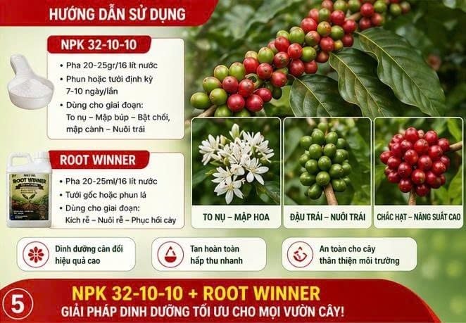  combo bocdo (1 kg đồng sunphat+ 1 kg vôi) quản lí nấm,thán thử,rỉ sắt rửa vườn sau khi thu hoạch 