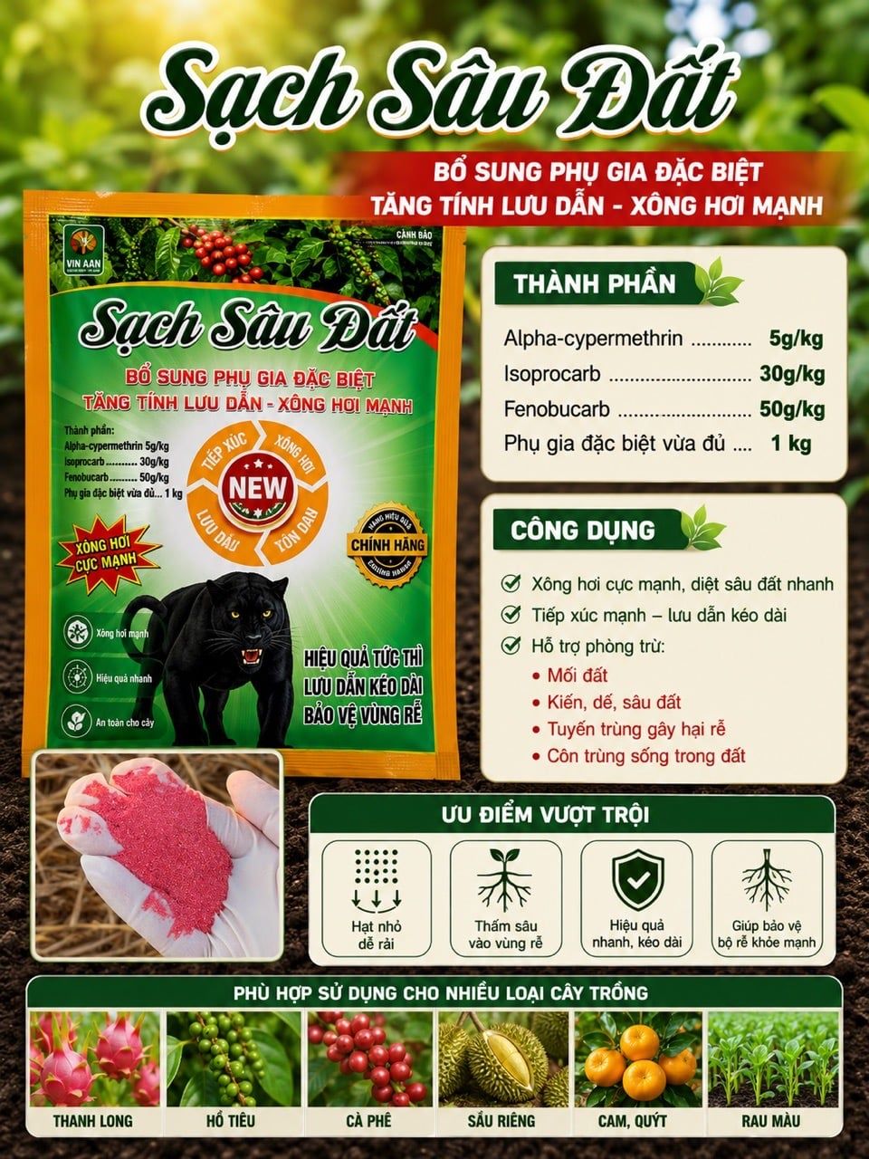 SẠCH SÂU ĐẤT -RẢI GỐC CÀ PHÊ - RA RỂ 