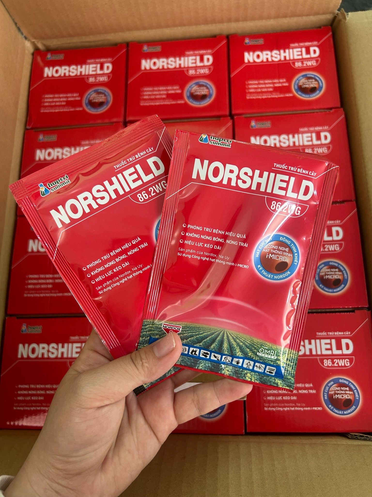  Norshield, ĐỒNG ĐỎ trừ bệnh cây trồng Norshield 86.2WG - NORSHIELD 