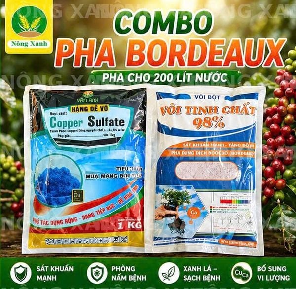  combo bocdo (1 kg đồng sunphat+ 1 kg vôi) quản lí nấm,thán thử,rỉ sắt rửa vườn sau khi thu hoạch 