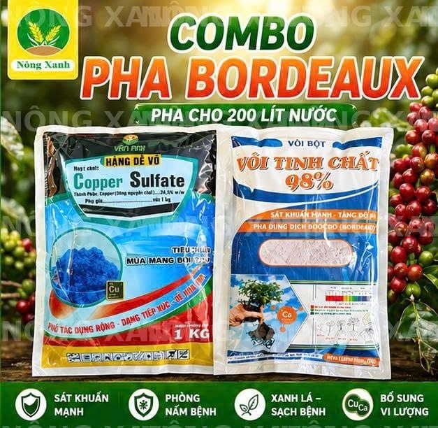  combo bocdo (1 kg đồng sunphat+ 1 kg vôi) quản lí nấm,thán thử,rỉ sắt rửa vườn sau khi thu hoạch 