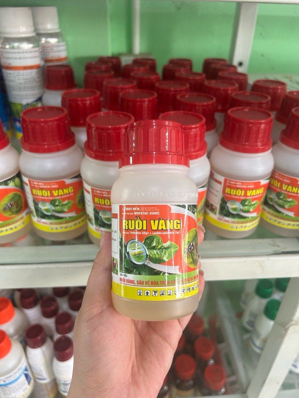  Thuốc DIỆT Ruồi vàng (200ML) - DIỆT SẠCH RUỒI VÀNG TRONG VƯỜN CÂY 