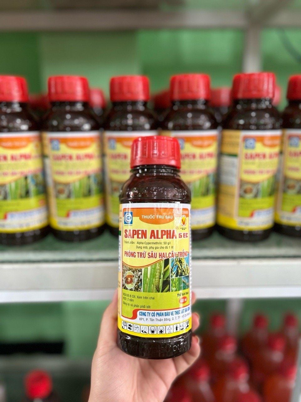  Thuốc SAPEN ALPHA 5EC Đặc Trị Sâu Cuốn Lá, Bọ Trĩ, Sâu Hồng 