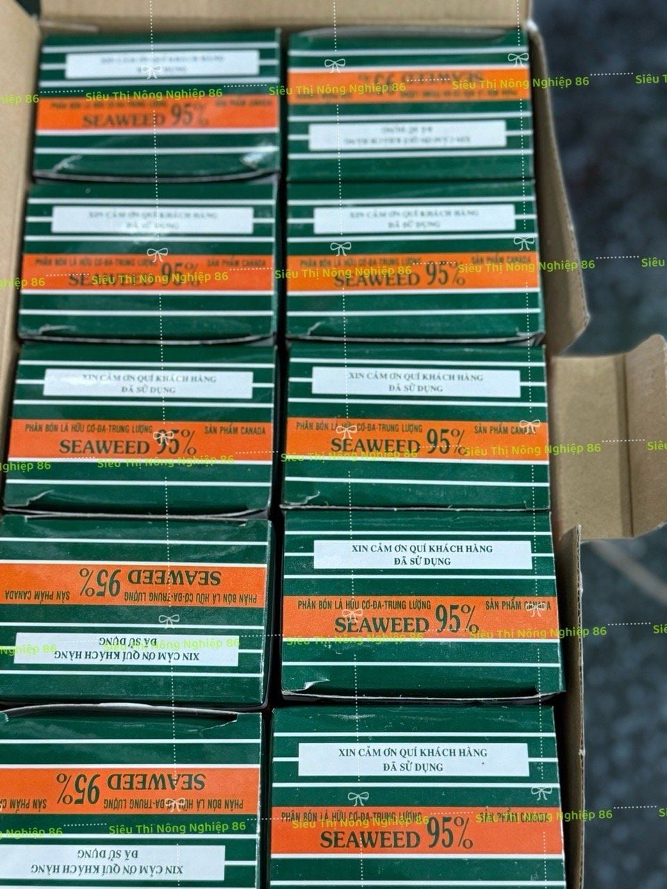  PHÂN BÓN LÁ HỮU CƠ RONG BIỂN SEAWEED (CANADA) 10G/GÓI 