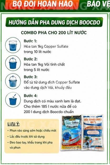  combo bocdo (1 kg đồng sunphat+ 1 kg vôi) quản lí nấm,thán thử,rỉ sắt rửa vườn sau khi thu hoạch 