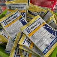  Thuốc trị nấm bệnh cây Ridomil Gold 68WP 