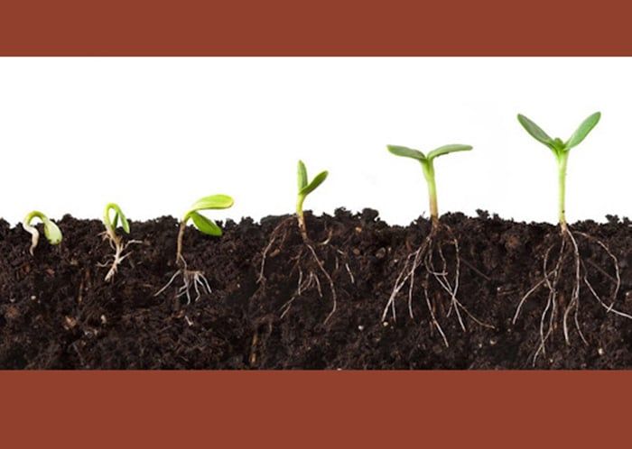  RA RỂ CỰC MẠNH - VIPAC 88 HỦ 500G - PHA 200L 