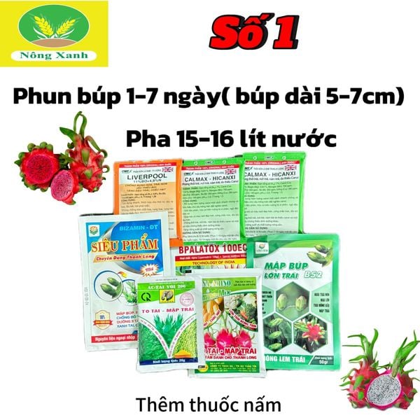  Bộ số 1 (lem) phun búp 1-7 ngày 