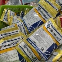  Đặc trị vàng lá mai vàng, đốm lá hoa hồng, đốm lá hoa lan, chết nhanh hồ tiêu Ridomin Gold 68WG - Ridomil 