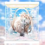  Box led trưng bày Chobits Chi 