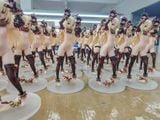 [ORDER] Illyasviel von Einzbern Cat Ears Ver. R18  - Fate/kaleid liner Prisma☆ILLYA - CY Studio 