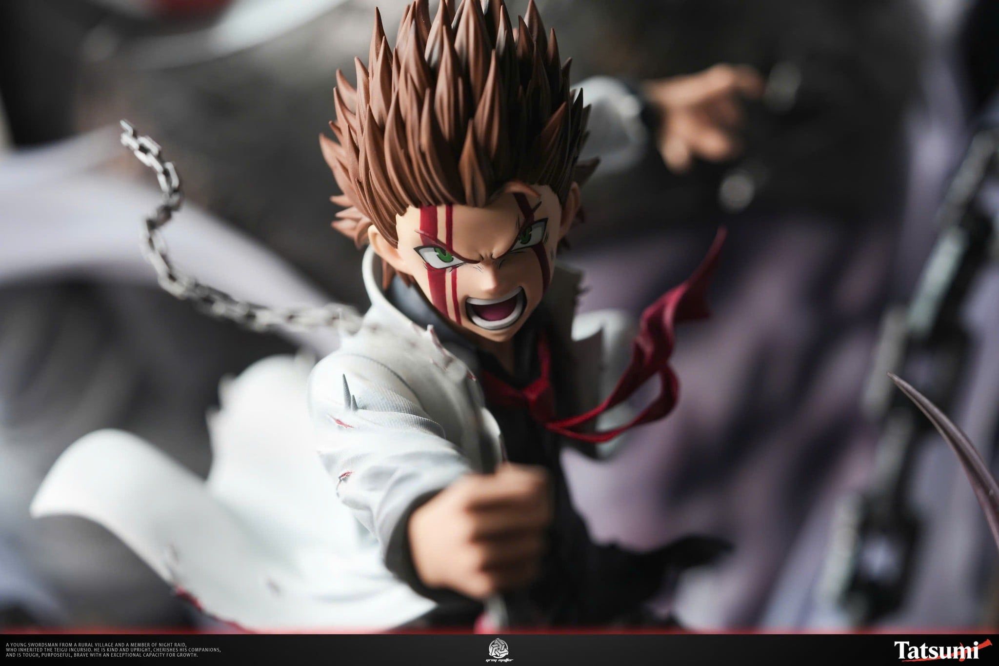  Tatsumi - Akame ga Kill - Grey Matter Studio 