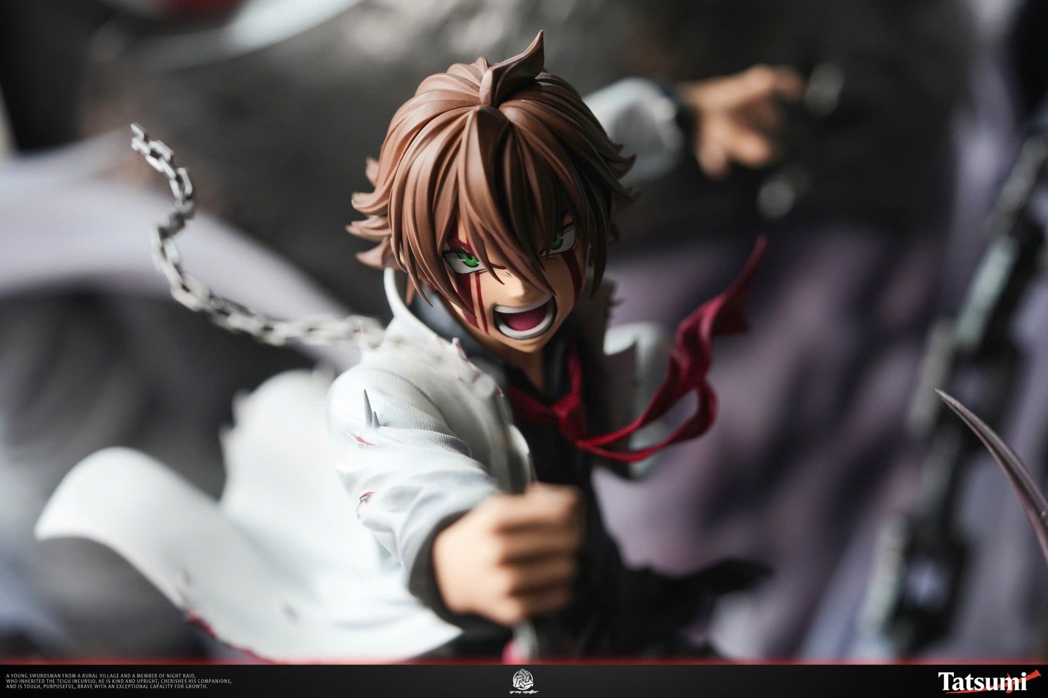  Tatsumi - Akame ga Kill - Grey Matter Studio 