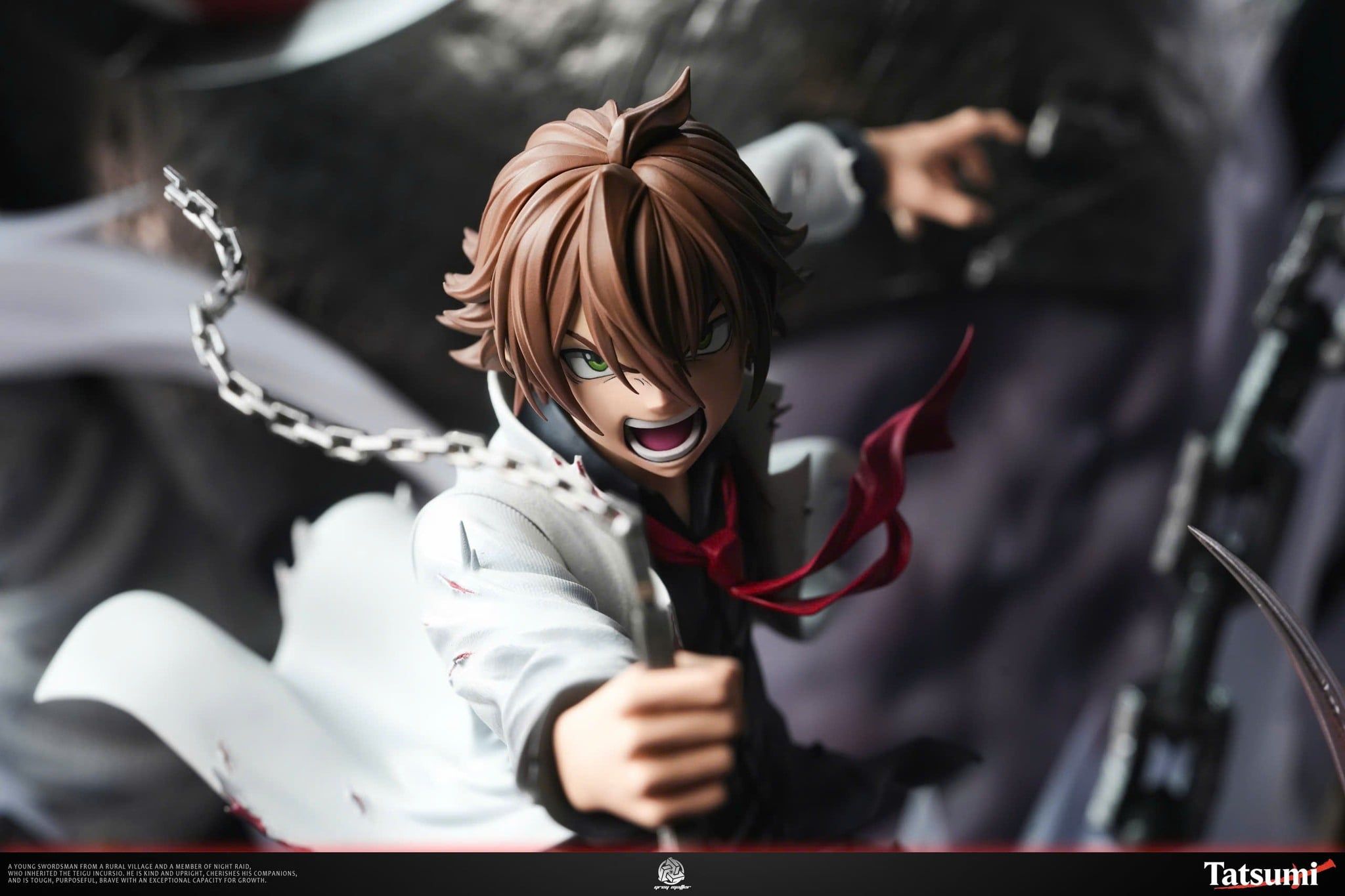  Tatsumi - Akame ga Kill - Grey Matter Studio 