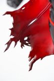  Scarlet: Black Shadow - Goddess of Victory: Nikke - Hobby sakura 